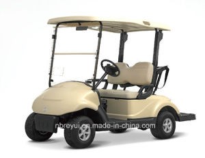 2 Seats Electric Golf Cart